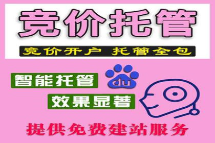 搜索引擎营销（SEM）优化全攻略：成功案例解析